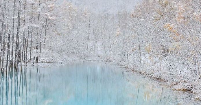 Aoiike, Blue Pond, Biei, Shirogane Onsen, Kamikawa (Ishikari) District, Hokkaido, Japan