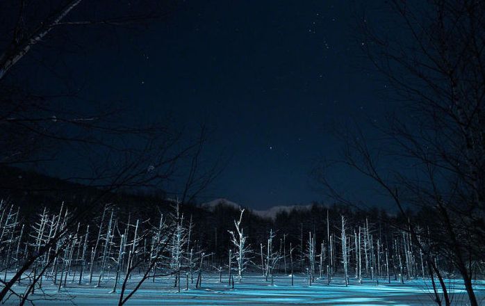 Aoiike, Blue Pond, Biei, Shirogane Onsen, Kamikawa (Ishikari) District, Hokkaido, Japan