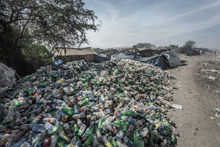 Scavenging in Port-au-Prince, Ouest, Haiti