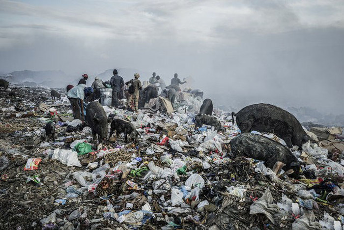 Scavenging in Port-au-Prince, Ouest, Haiti