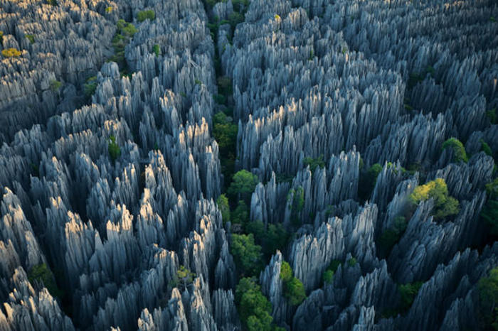 Tsingy de Bemaraha, Melaky Region, Madagascar