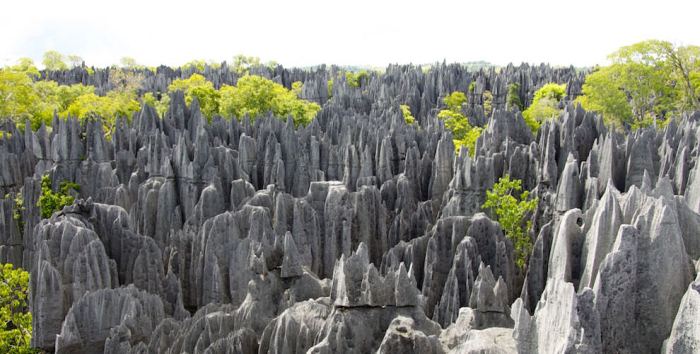 Tsingy de Bemaraha, Melaky Region, Madagascar