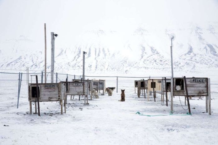 Ny-Ålesund, Oscar II Land, Spitsbergen, Svalbard, Norway