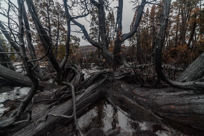 Tasmania island fire, Commonwealth of Australia, South Pacific Ocean