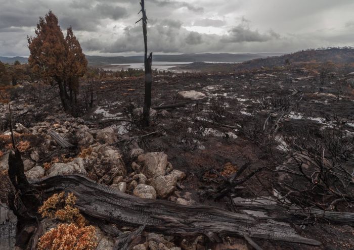 Tasmania island fire, Commonwealth of Australia, South Pacific Ocean