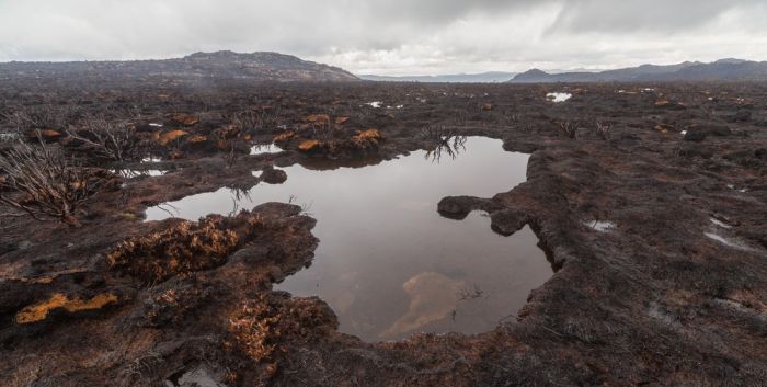 Tasmania island fire, Commonwealth of Australia, South Pacific Ocean