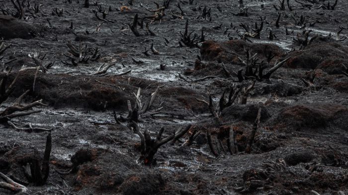 Tasmania island fire, Commonwealth of Australia, South Pacific Ocean