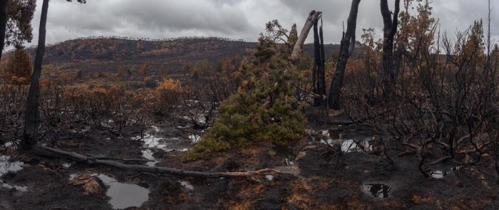 Tasmania island fire, Commonwealth of Australia, South Pacific Ocean