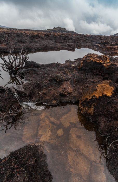 Tasmania island fire, Commonwealth of Australia, South Pacific Ocean