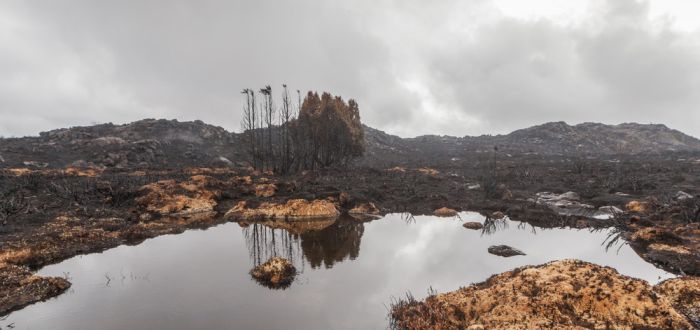 Tasmania island fire, Commonwealth of Australia, South Pacific Ocean