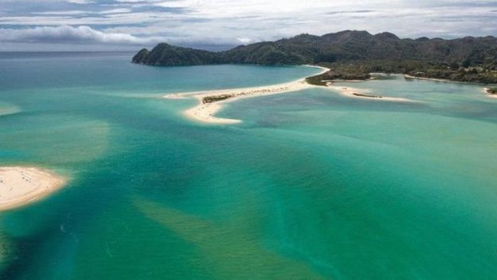 Awaroa Bay beach, Abel Tasman National Park, New Zealand, South Pacific Ocean