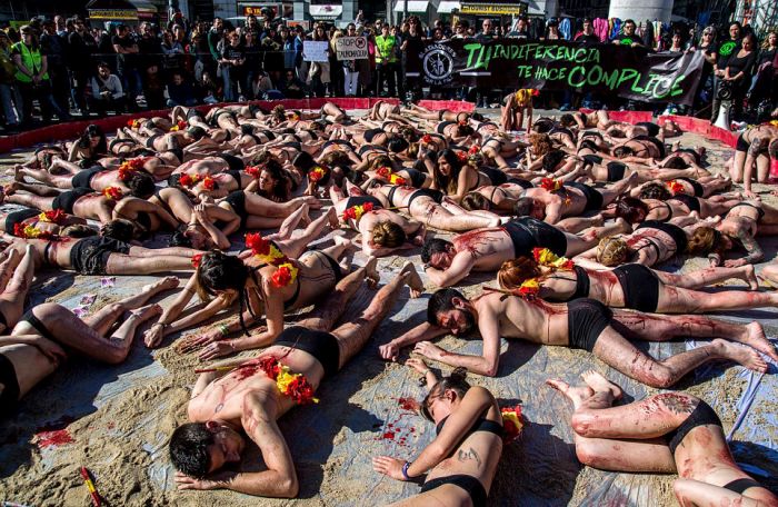 Protest against bull fighting, Madrid, Spain