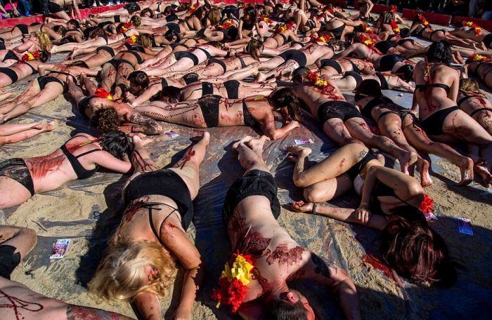 Protest against bull fighting, Madrid, Spain