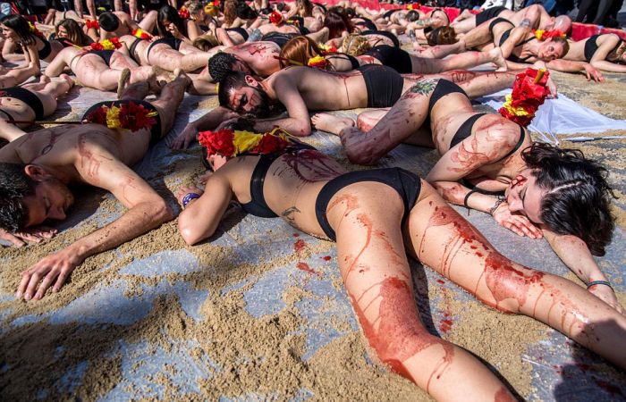 Protest against bull fighting, Madrid, Spain