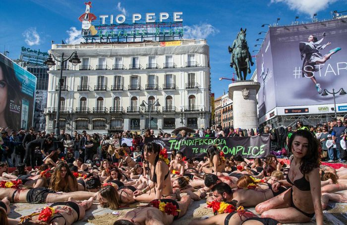 Protest against bull fighting, Madrid, Spain