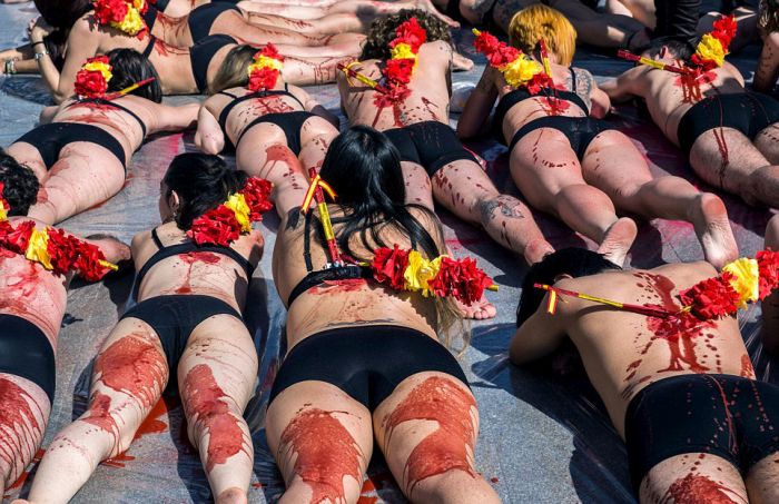 Protest against bull fighting, Madrid, Spain