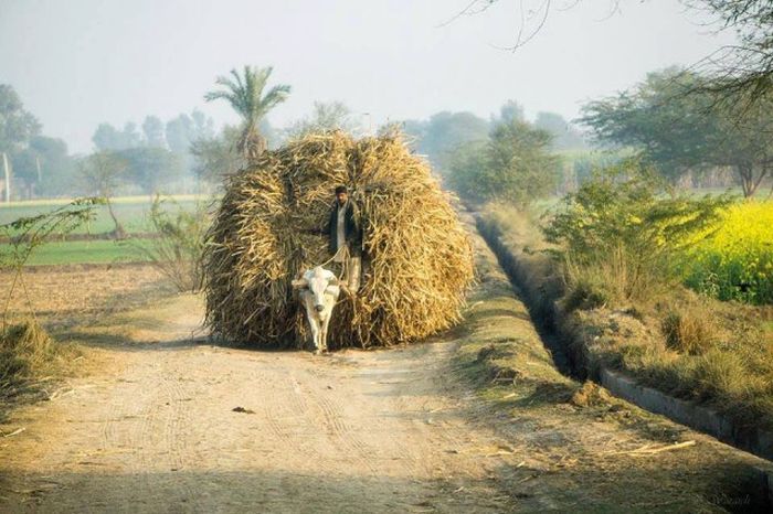 Life in Pakistan