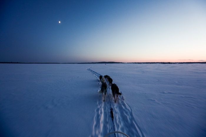 Arctic region, North Pole, Arctic