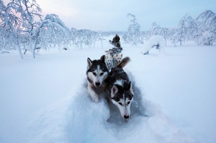 Arctic region, North Pole, Arctic