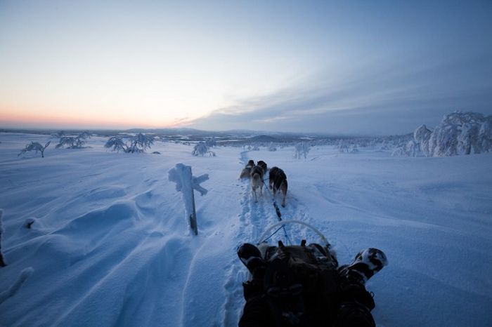 Arctic region, North Pole, Arctic