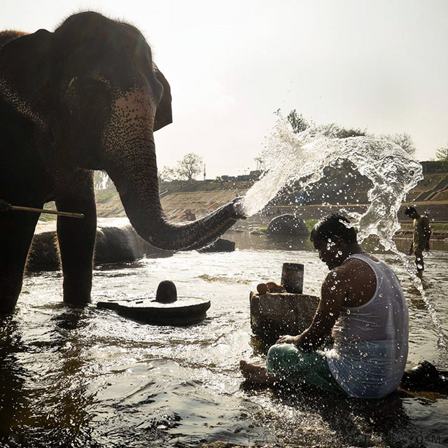 National Geographic Photography