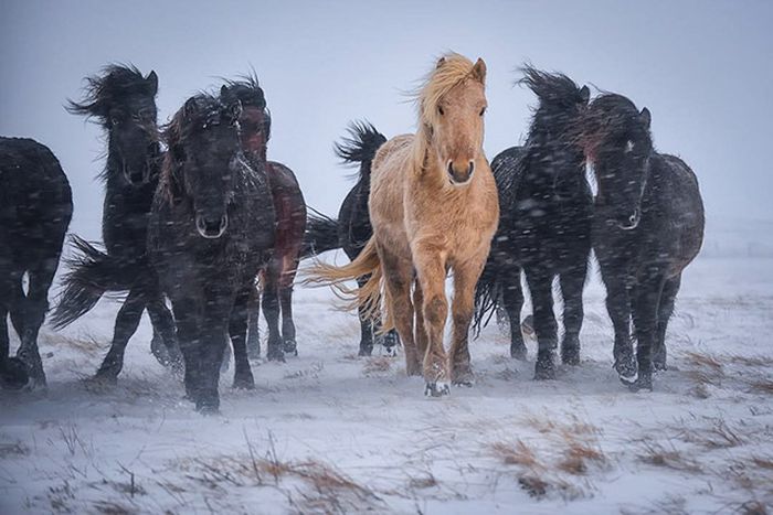 National Geographic Photography