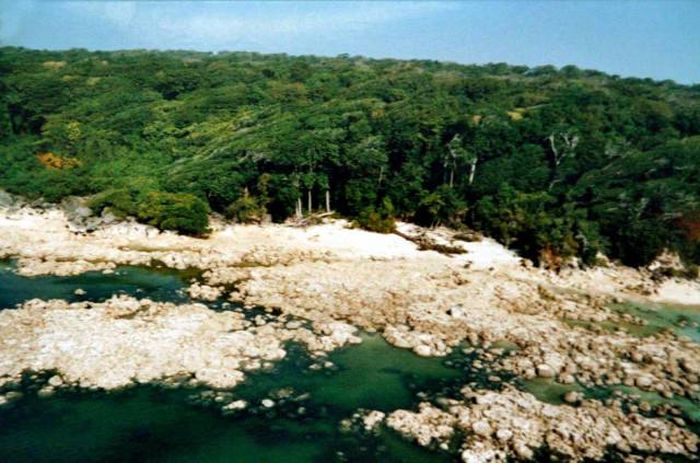 Sentineli, North Sentinel Island, Andaman Islands, Bay of Bengal, Indian Ocean