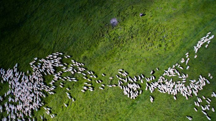 bird's-eye view aerial landscape photography