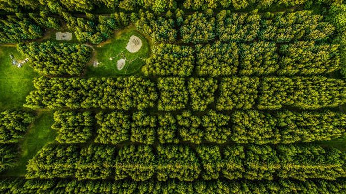 bird's-eye view aerial landscape photography