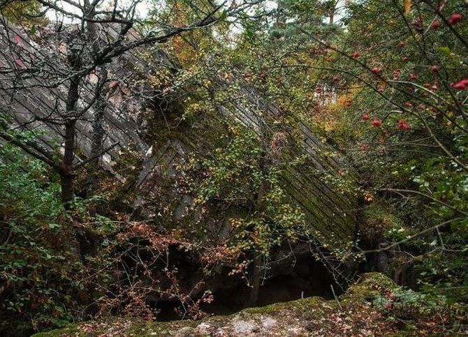 Camp Earthworm, Regenwurmlager, Międzyrzecz, Poland