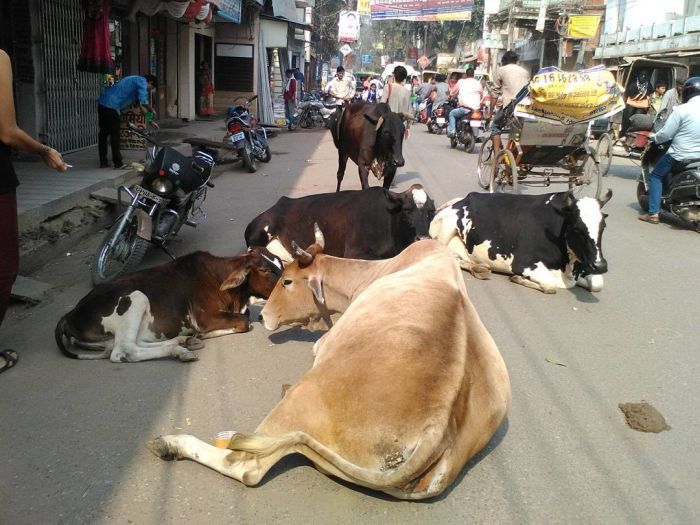 Varanasi, Uttar Pradesh, North India