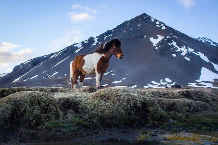 Iceland