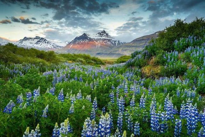 Iceland