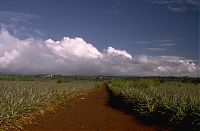 Trek.Today search results: beauty of nature