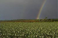 Trek.Today search results: beauty of nature