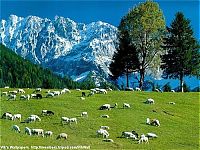 World & Travel: beauty of nature