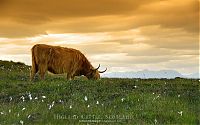 Trek.Today search results: nature photographs (c) andreas stridsberq