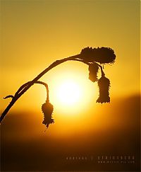 Trek.Today search results: nature photographs (c) andreas stridsberq