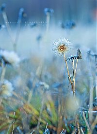 Trek.Today search results: nature photographs (c) andreas stridsberq