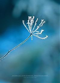 Trek.Today search results: nature photographs (c) andreas stridsberq