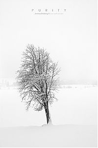 Trek.Today search results: nature photographs (c) andreas stridsberq