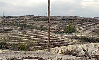 Trek.Today search results: The Republic of Indonesia - a state in Southeast Asia, the islands of the Malay archipelago and the western part of the island of New Guinea