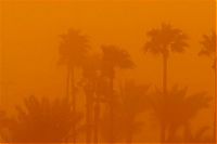 World & Travel: Sandstorm in Saudi Arabia
