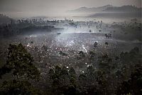 World & Travel: Pictures of nominees for Sony World Photography Awards 2009