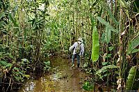 Trek.Today search results: survival course in the jungle