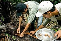 World & Travel: survival course in the jungle