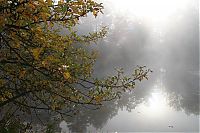 World & Travel: fog photography