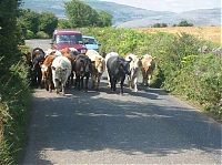 World & Travel: Traffic jam in the world