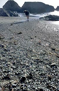 World & Travel: Glass Beach in California