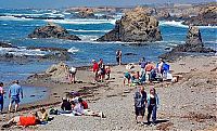 Trek.Today search results: Glass Beach in California